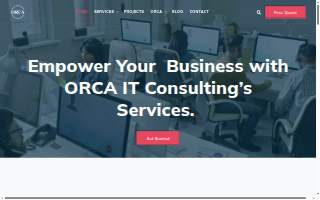 Orca IT Consulting website