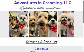 Adventures in Grooming website