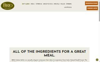 Briones Consulting Group website