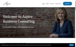 Aspire Business Consulting website