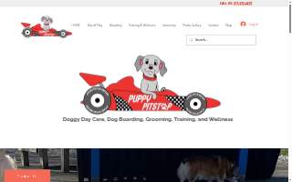 Puppy Pitstop website