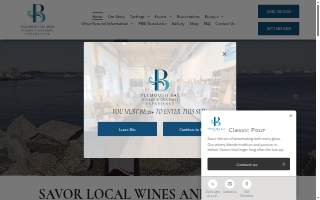 The Mop Squad website