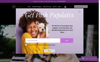 Posh Puppies Indiana website