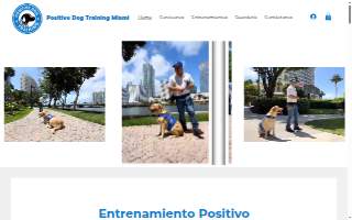 Positive Fitness website