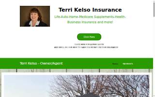 Terri Kelso Insurance website