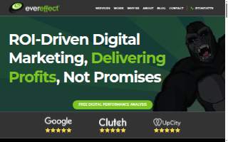 EverEffect website