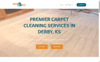 Clean Wave Carpet Cleaning website