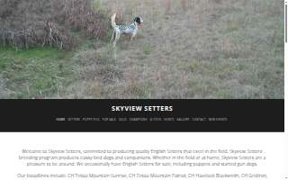 Skyview Setters website