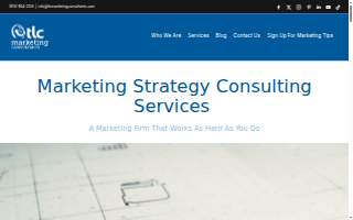 TLC Marketing Consultants website