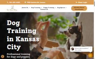 Sit Now Stay Dog Training of Lenexa website