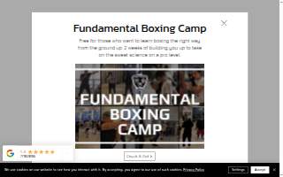 Animal Kingdom Boxing website