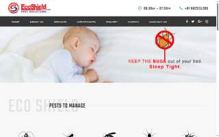 EcoShield Pest Solutions of Lenexa website