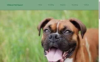 Wildcat Pet Resort website