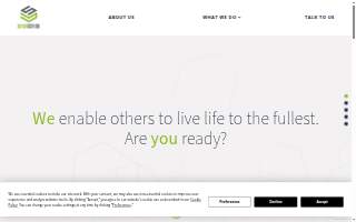 Data Scribe Solutions website