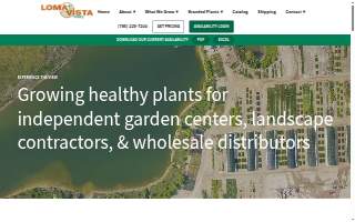 Loma Vista Nursery Inc website