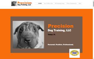 Precision Dog Training Academy website