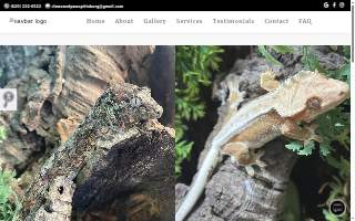 Claws & Paws Pet Store website