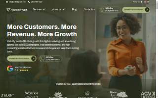 Visibility Vault website