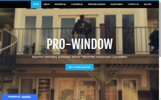Pro-Window website