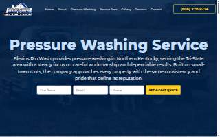 Blevins Pro Wash website
