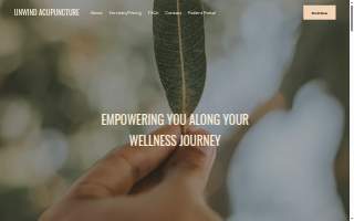 Unwind Acupuncture & Integrative Medicine of Berea website