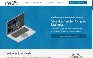 The Web Guys of Zionsville website