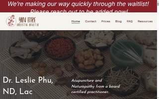 Yin Fire Holistic Health website