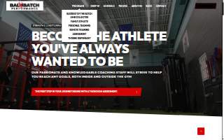 Bad Batch Performance website