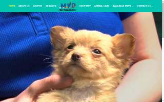 Most Valuable Pets of Lexington website