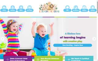 Elite Minds Academy website