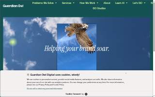 Guardian Owl Digital website