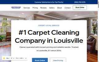 Stat Carpet Cleaning website
