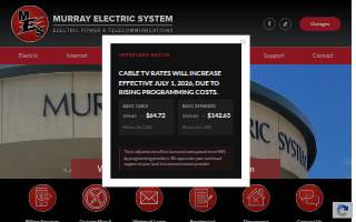 Murray Electric System website