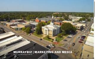 Murraybiz website