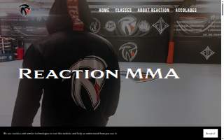Reaction MMA and Brazilian Jiu-Jitsu website