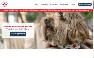 Towne Square Pet Resort website