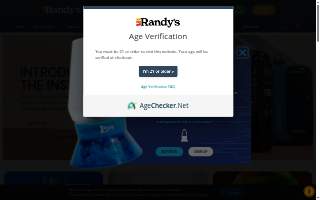 Randy's Auto Solutions website