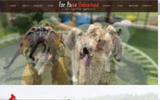 For Paws Unleashed website