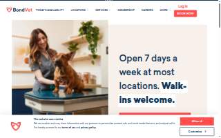Bolton Painting website