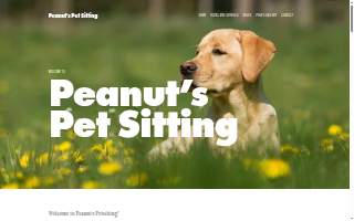 Peanuts Pet Sitting website