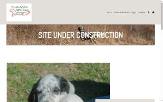 Flanagan Springs Kennel website