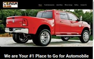 Cobra Glass website