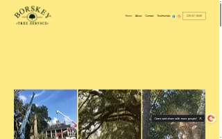 Borskey Tree Service website