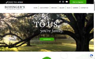 Bofinger's Tree Service website