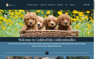 GoldenFido Goldendoodles website