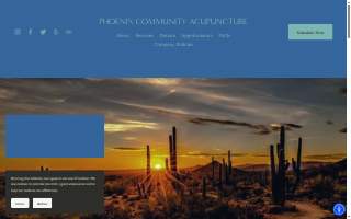 Acupuncture Wellness Center website