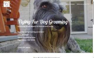 Flying Fur Dog Grooming, Boarding, & Daycare website