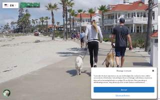 Bonin Dog Training Center website