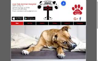 Live Oak Animal Hospital website