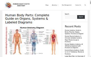 Bone & Joint Clinic of Terrytown website